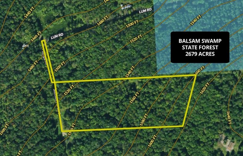 Chenango 11.9 Trout Topographical Aerial