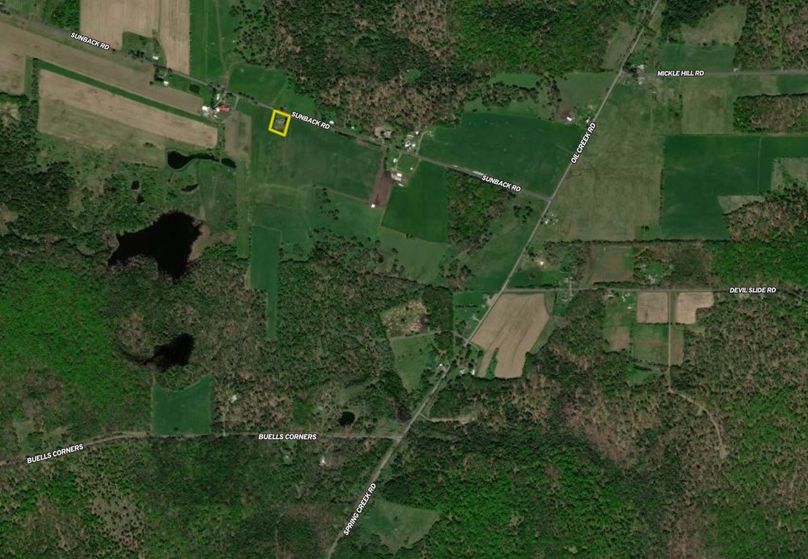 Screen Shot 2022-04-11 at 2.31.18 PM