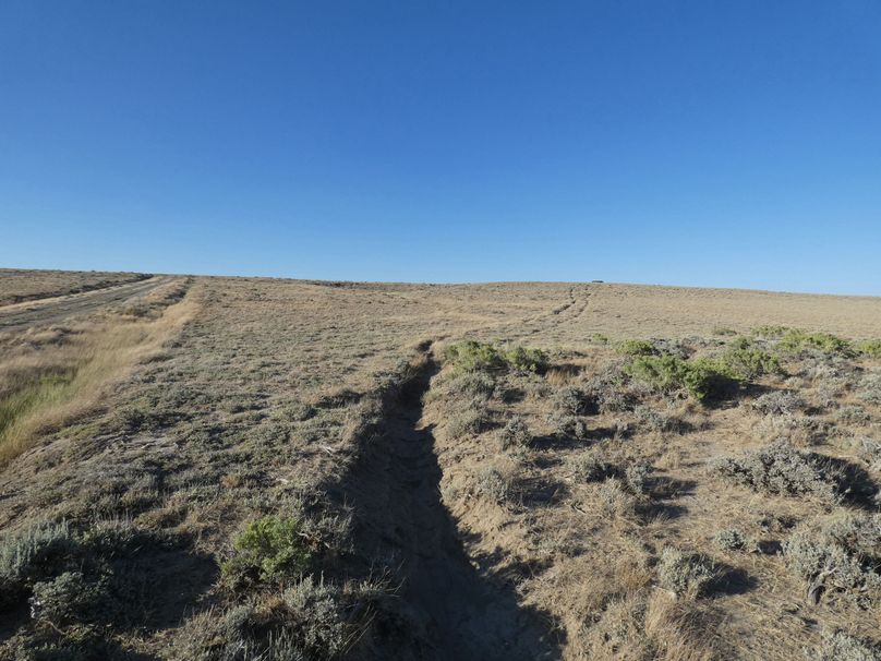 CA487DBF-DDD9-4B30-9E1B-E7CE4E418A7C