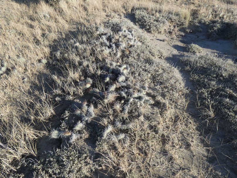 B0C0991A-E590-4D4C-AA00-1E54B87299BB