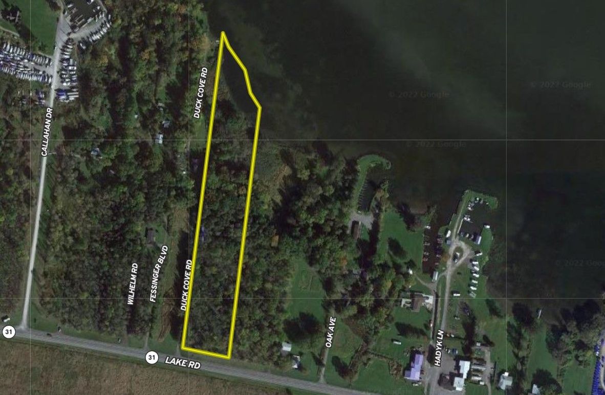 Madison 6.55 Carey Google