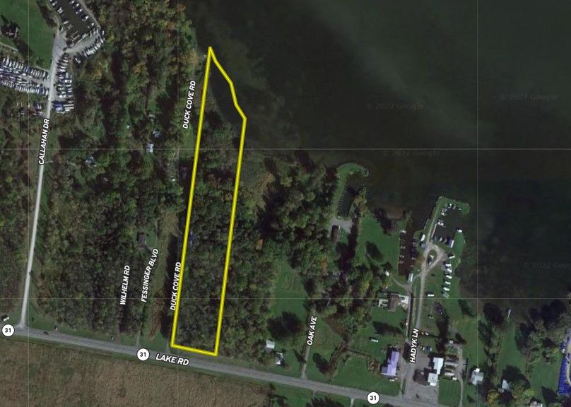 Madison 6.55 Carey Google