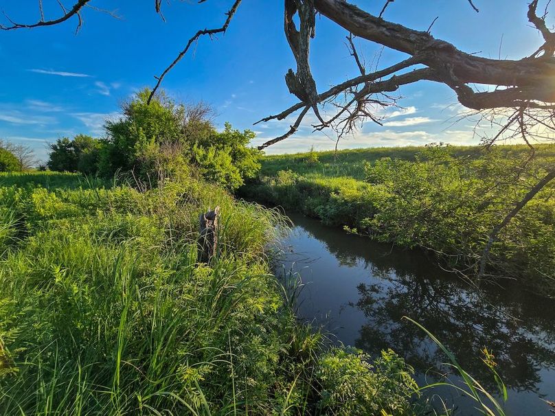 Copy of 20250625_071239