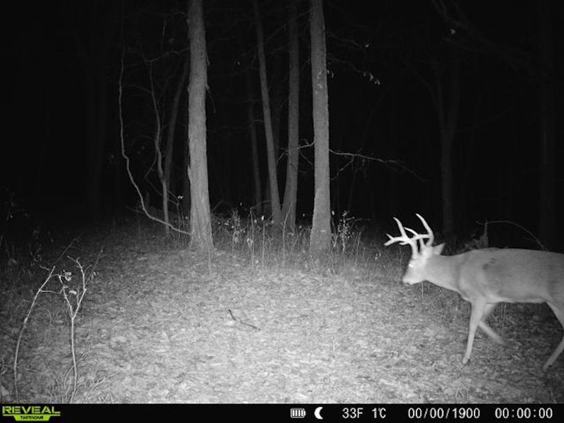 860516063775377-1-4-12202025201232-V-W1052240