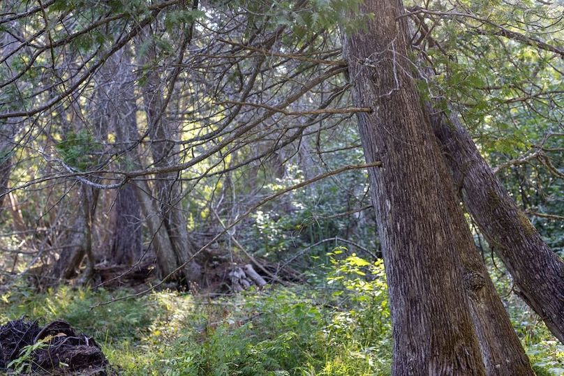 Mackinac 320 Copenhaver-93