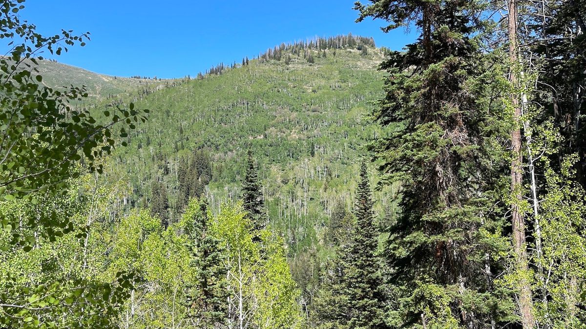 MantiLa Sal Hunting And Recreational Property For Sale In Central Utah