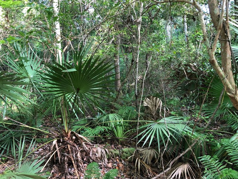 9. Interior of property