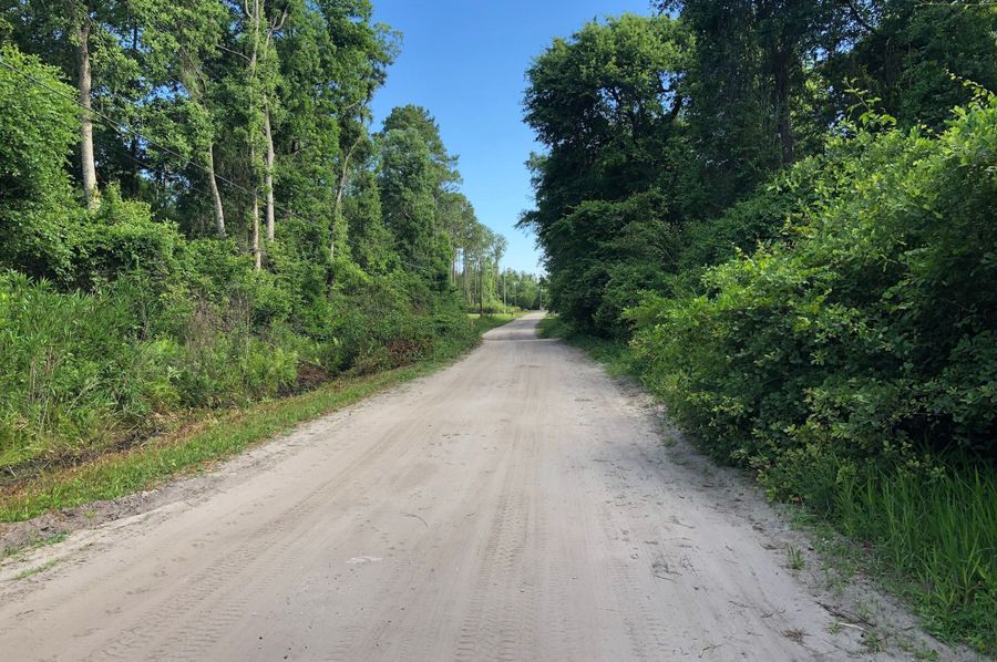 14. Als Satch Road and west property boundary looking north