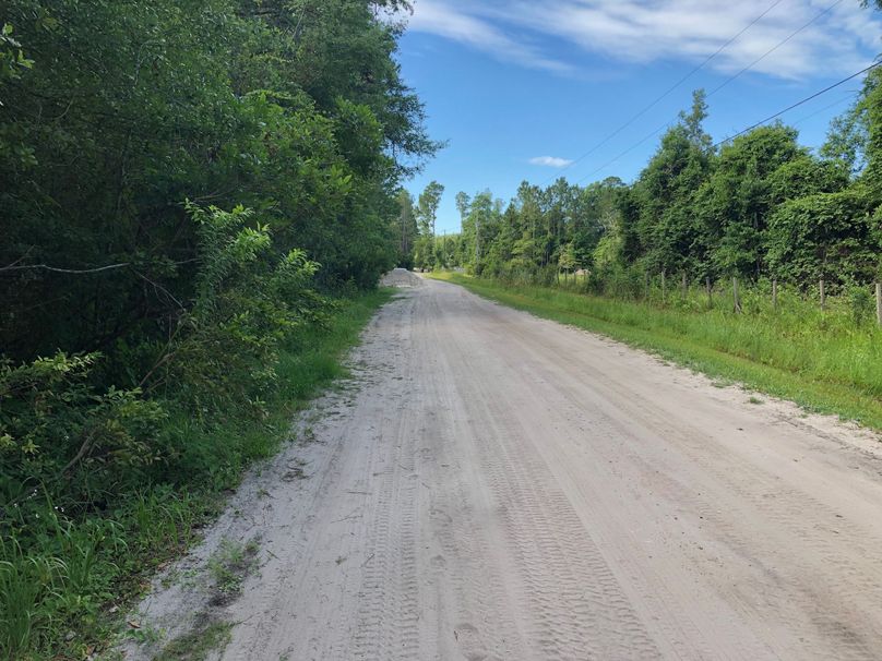 13. Als Satch Road and west property boundary to the left looking south
