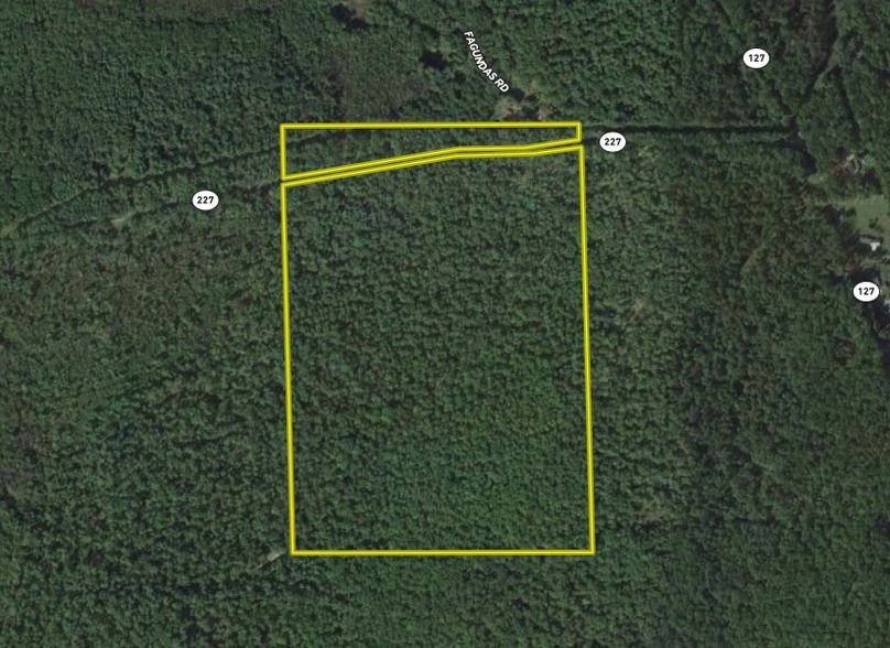 Screen Shot 2022-05-27 at 1.30.09 PM