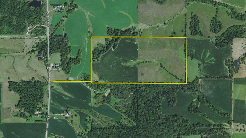 Johnson Cedar 81.5 Map - _0000_Aerial