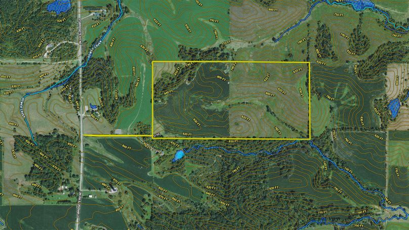 Johnson Cedar 81.5 Map - _0001_Top0