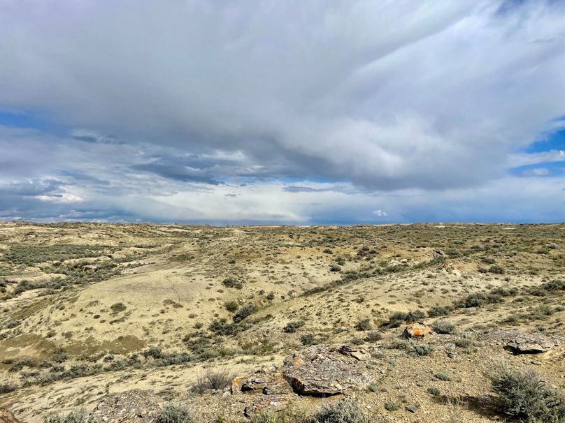 8167DB37-C5BE-4CB5-85D8-8E7A2CD28DAC_1_105_c