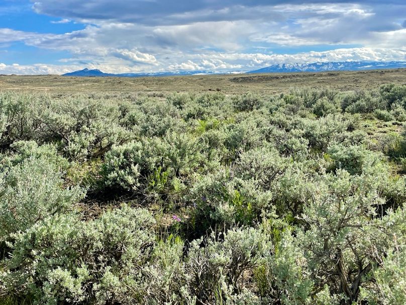 E2DFB130-ED96-41F0-A570-84A41C2E1A27_1_105_c