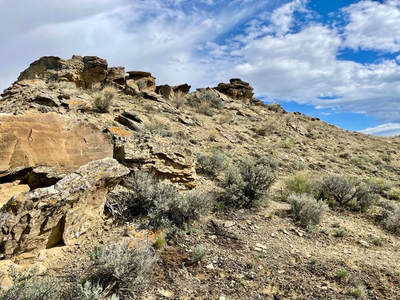 58ABED85-F46D-411D-B980-3CBE79428DBA_1_105_c