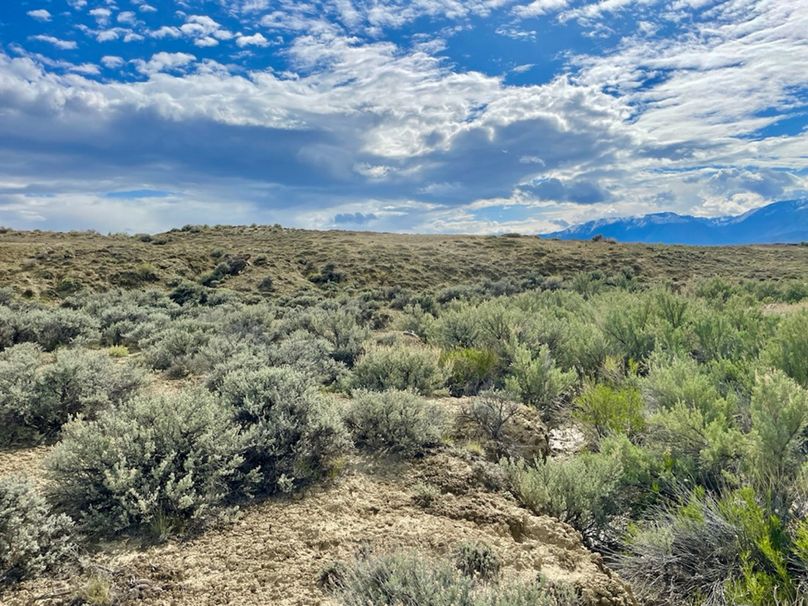 163B4E9B-242F-4510-9890-5521480C0AA2_1_105_c