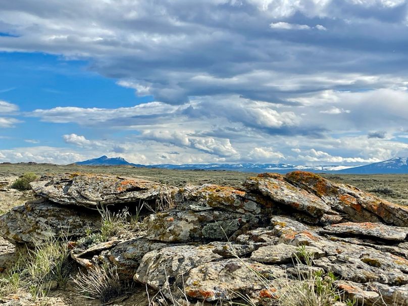 20F47323-76CD-4EAA-BBD8-D7B6CD12B0D0_1_105_c