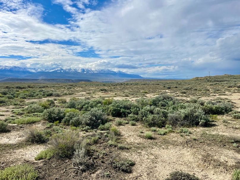 5085DD27-21D7-479C-817A-70A2870BF479_1_105_c