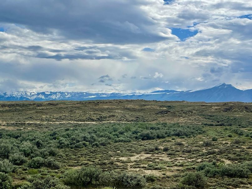 20779E9F-4FDB-40AC-8C06-9620FA57BC92_1_105_c