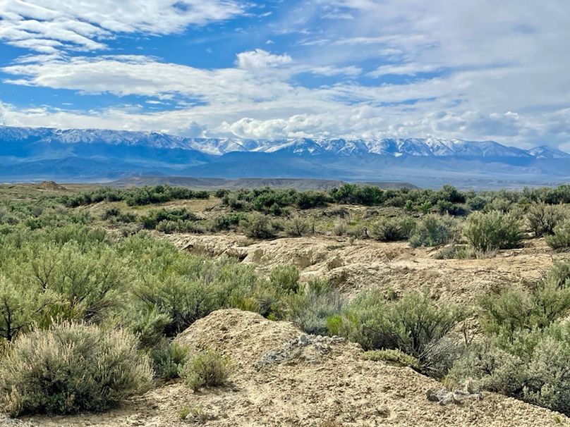 1AA7750A-CC55-41CA-A5EF-834611ED28F1_1_105_c