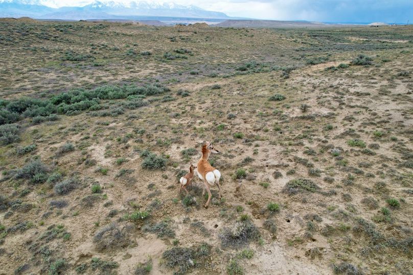 683B80CB-394C-44ED-801B-DFBCE5749A76_1_105_c