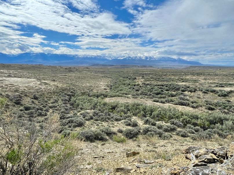 48243104-0176-4355-99EF-0E98EDD2F0EA_1_105_c