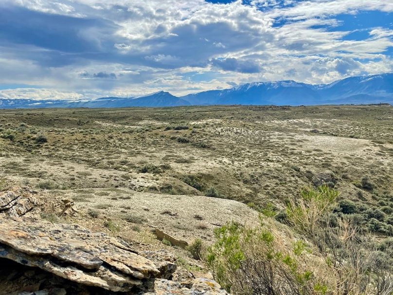 8144CFF0-C867-49F0-80B5-67D7D678940B_1_105_c