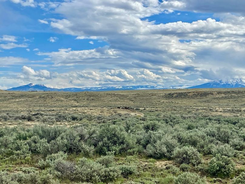 CCF562C4-BFA1-4491-A89B-CFBF52A45E92_1_105_c