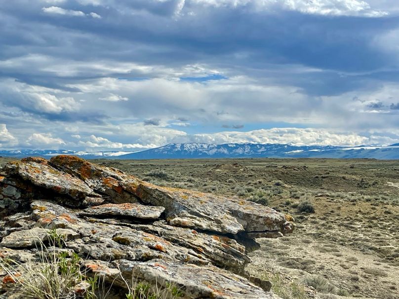 637B30EF-FABA-4142-99DE-5F977DA211CD_1_105_c