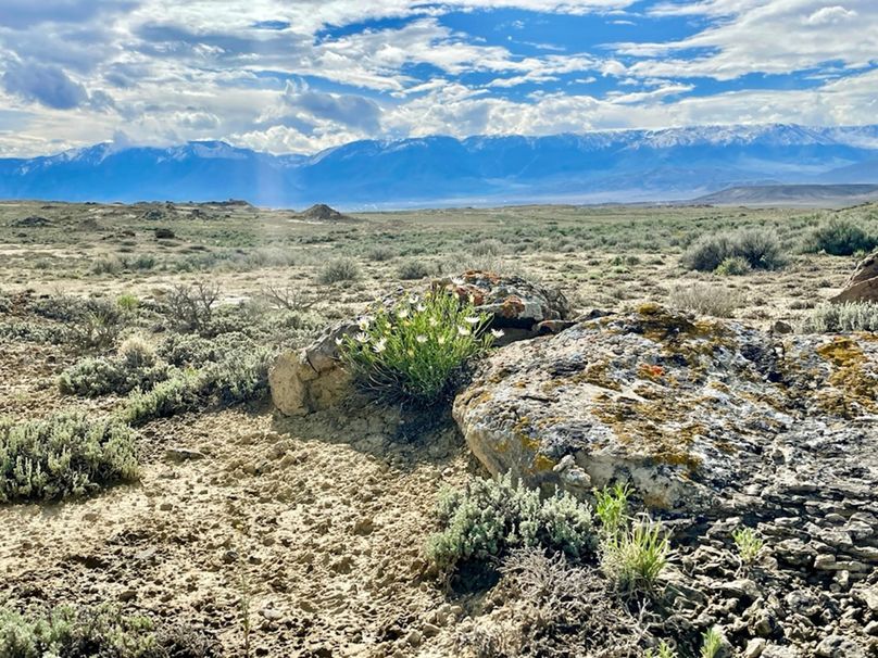 C5968BF4-8256-4459-9AFC-3711EF17740F_1_105_c