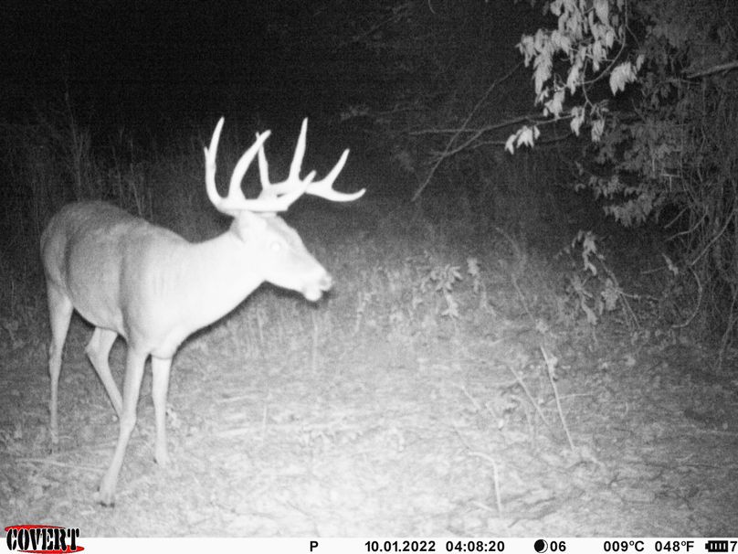 okmulgee 30 ausbrooks trail cam 18
