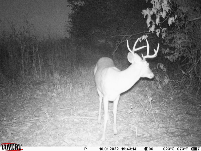 okmulgee 30 ausbrooks trail cam 26