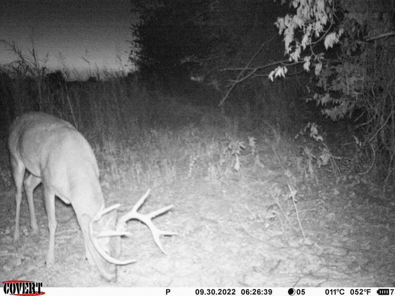 okmulgee 30 ausbrooks trail cam 6