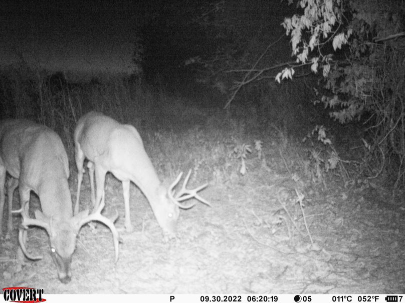 okmulgee 30 ausbrooks trail cam 1
