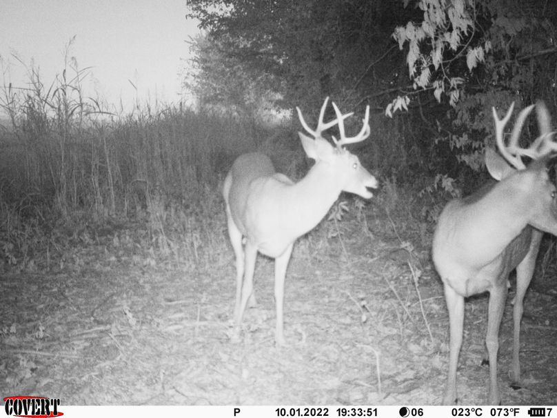 okmulgee 30 ausbrooks trail cam 22