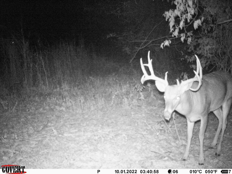 okmulgee 30 ausbrooks trail cam 11