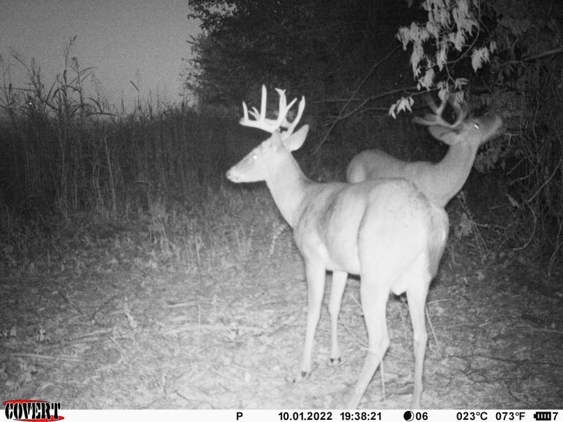 okmulgee 30 ausbrooks trail cam 24
