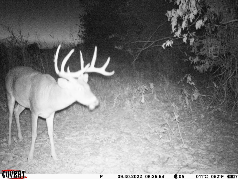 okmulgee 30 ausbrooks trail cam 5