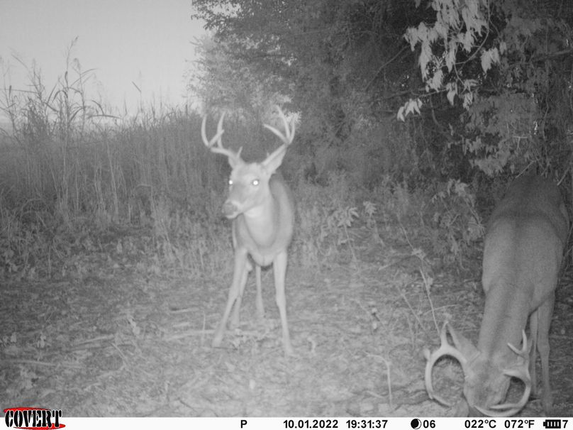 okmulgee 30 ausbrooks trail cam 21