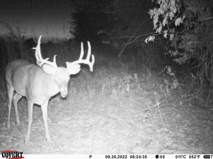 okmulgee 30 ausbrooks trail cam 3