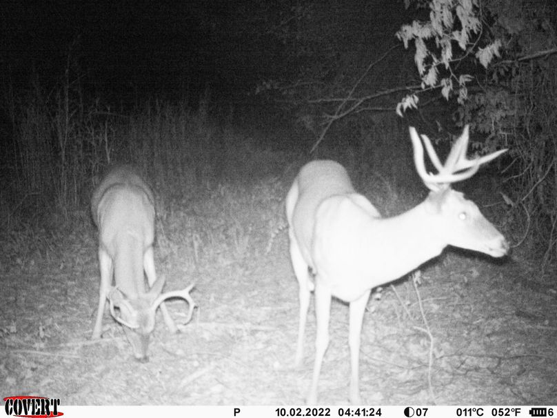 okmulgee 30 ausbrooks trail cam 29