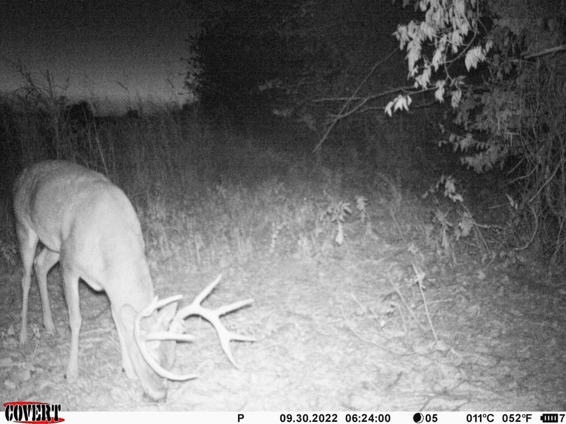 okmulgee 30 ausbrooks trail cam 2