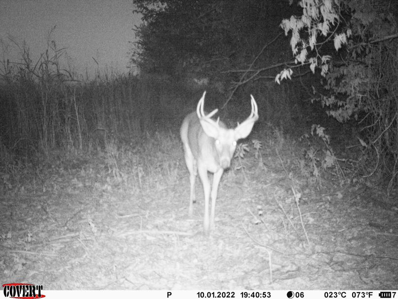 okmulgee 30 ausbrooks trail cam 25