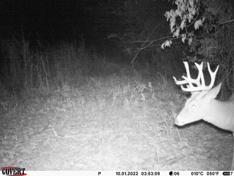 okmulgee 30 ausbrooks trail cam 15