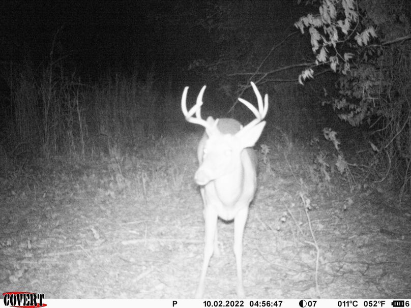 okmulgee 30 ausbrooks trail cam 30