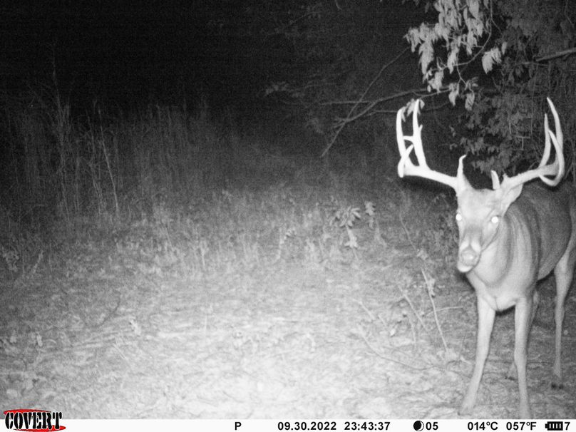 okmulgee 30 ausbrooks trail cam 10