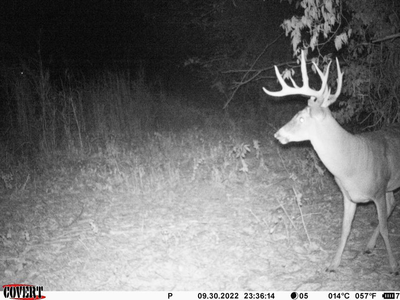 okmulgee 30 ausbrooks trail cam 9