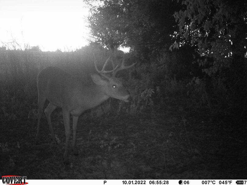 okmulgee 30 ausbrooks trail cam 20