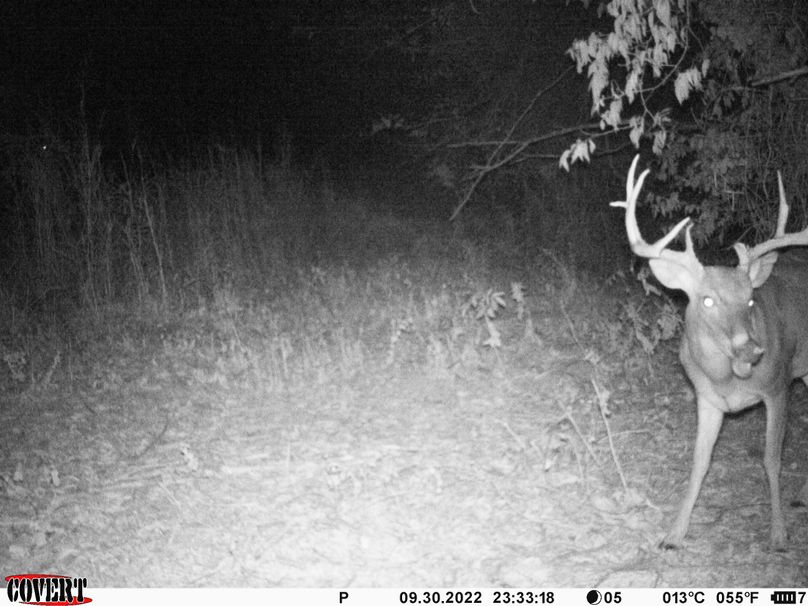 okmulgee 30 ausbrooks trail cam 8