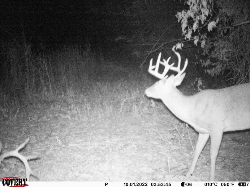 okmulgee 30 ausbrooks trail cam 16
